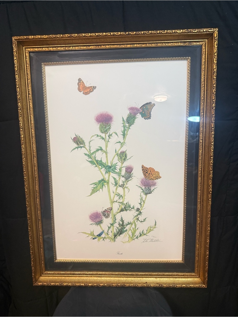 Thistle & Butterflies Print bySallie Middleton Signed and Authenticated 470/2000